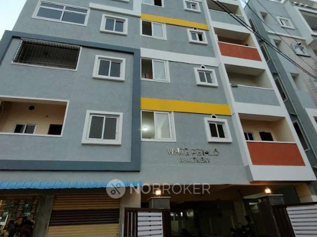2 BHK Flat In White Petals for Rent In Kistareddypet