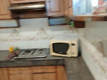 Mayur Vihar, New Delhi, Delhi - Balcony