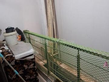 Flat for sale in Mayur County