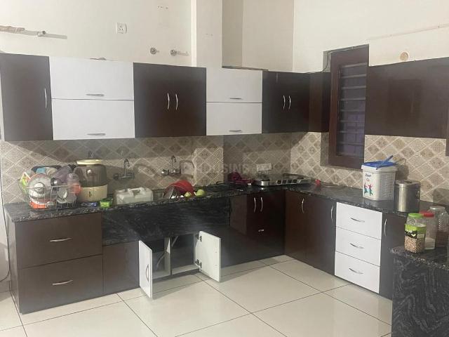 2 BHK Independent Builder Floor in Model Town for rent Bathinda. The reference number is 16579503