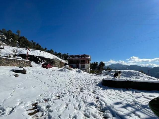 2 BHK Independent Builder Floor in Naldehra for rent Shimla. The reference number is 10893372