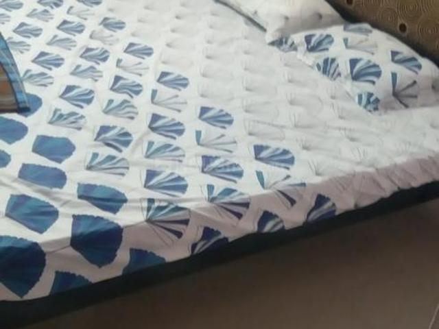 2 BHK Independent Builder Floor in Nandanam for rent Chennai. The reference number is 20244451