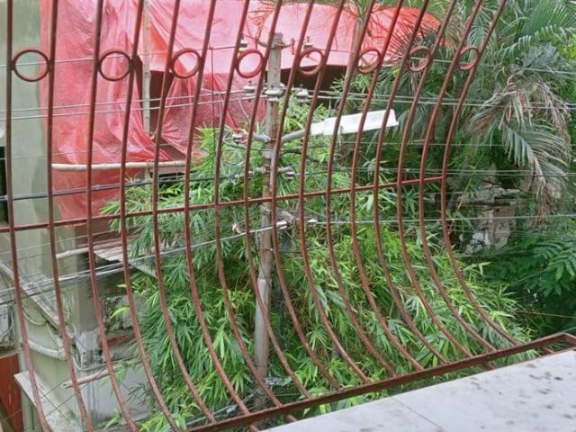 2 BHK Independent Builder Floor in Baranagar for resale Kolkata. The reference number is 20906014