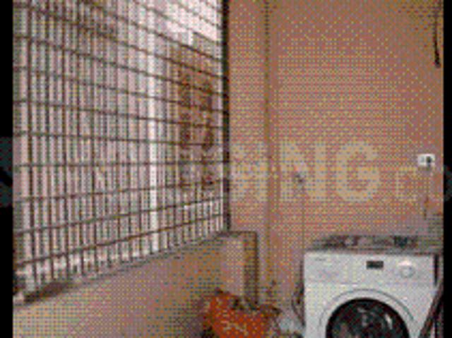 2 BHK Independent Builder Floor in K R Puram for rent Bengaluru. The reference number is 6806056
