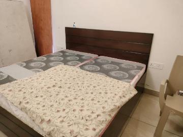 2 BHK Independent Builder Floor in Safdarjung Enclave for rent New Delhi. The reference number is 20090671