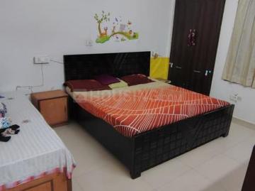 2 BHK Independent Builder Floor in Sector 49 for rent Noida. The reference number is 20574414
