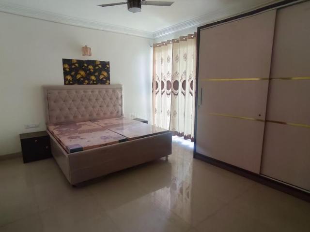2 BHK Independent Builder Floor in Sector 67 for rent Mohali. The reference number is 20497144