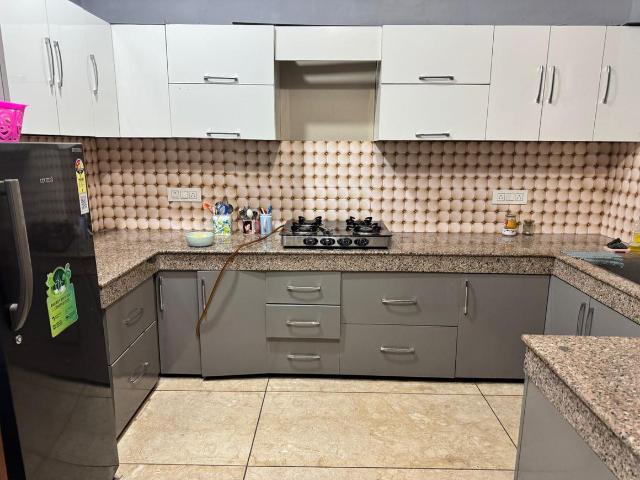 2 BHK Independent Builder Floor in Sector 77 for rent Mohali. The reference number is 21271150