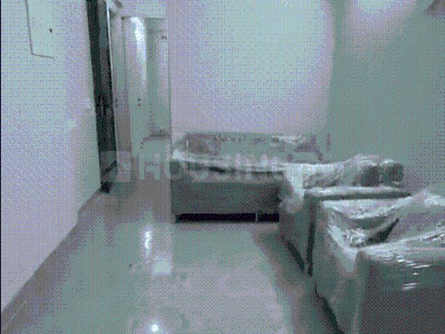 2 BHK Independent Builder Floor in Sector 81 for rent Gurgaon. The reference number is 20982298