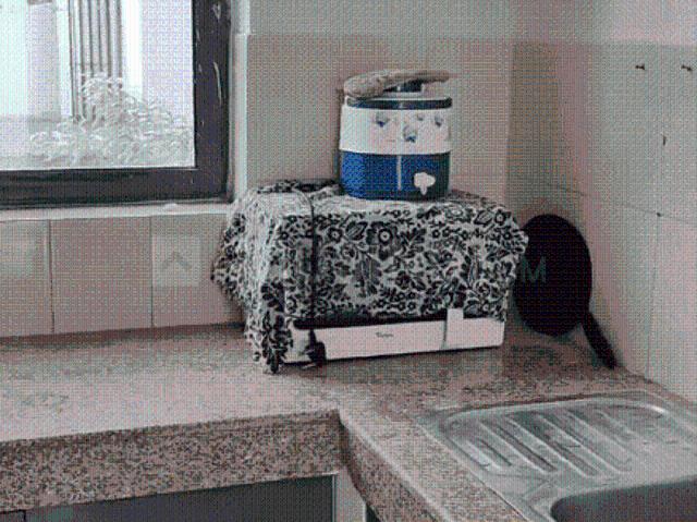 2 BHK Independent Builder Floor in Sector 82 for rent Gurgaon. The reference number is 20873191