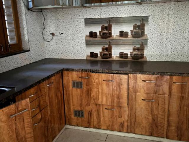2 BHK Independent Builder Floor in Sector 02 for rent Bahadurgarh. The reference number is 16535838