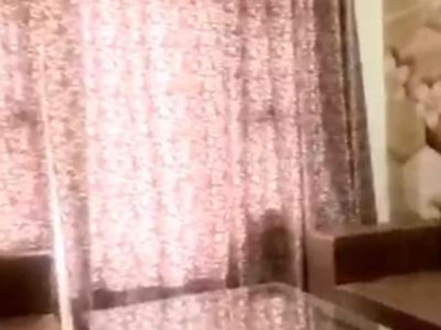 2 BHK Independent Builder Floor in Sector 127 for rent Mohali. The reference number is 18170106