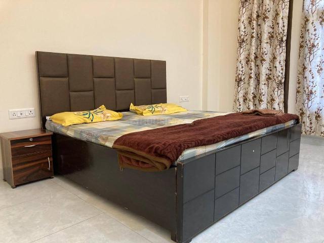 2 BHK Independent Builder Floor in Sector 14 for rent Gurgaon. The reference number is 20437181