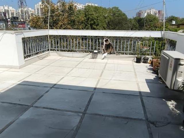 2 BHK Independent Builder Floor in Sector 31 for rent Gurgaon. The reference number is 19906879
