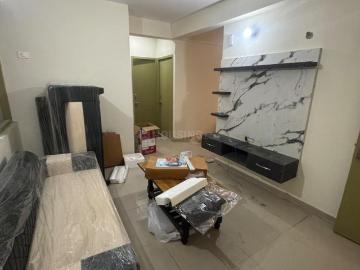 2 BHK Independent Builder Floor in sector 37 for rent Bahadurgarh. The reference number is 19562998
