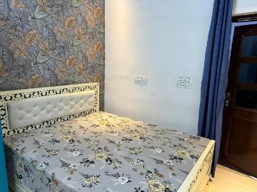 2 BHK Independent Builder Floor in Sector 37 for rent Chandigarh. The reference number is 20384862