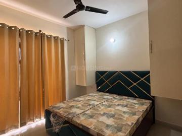 2 BHK Independent Builder Floor in Sector 36 for rent Karnal. The reference number is 19783012