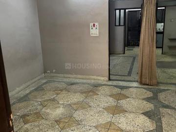 2 BHK Independent Builder Floor in Shalimar Bagh for rent New Delhi. The reference number is 20079717
