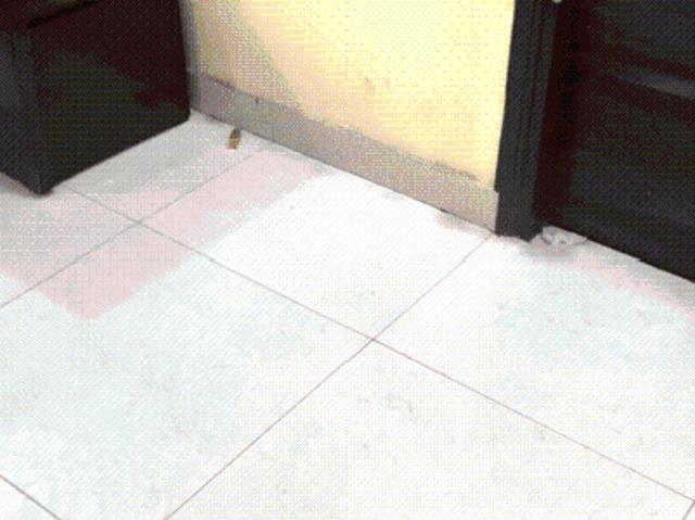 2 BHK Independent Builder Floor in Vaishali for rent Ghaziabad. The reference number is 21043236