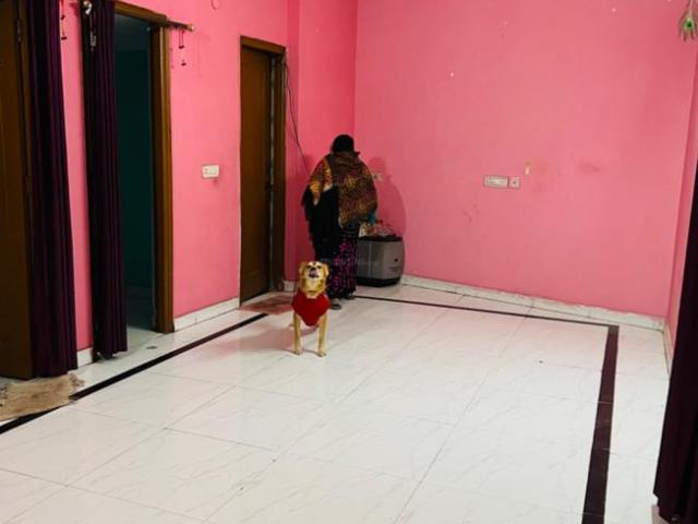 2 BHK Independent House in Tughlakabad for rent New Delhi. The reference number is 10927482