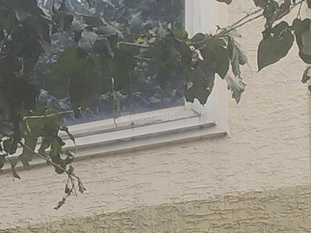 2 BHK Independent House in Victoria Layout for rent Bengaluru. The reference number is 21009647