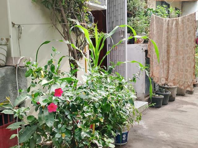 2 BHK Independent House in Vikaspuri for rent New Delhi. The reference number is 20292760
