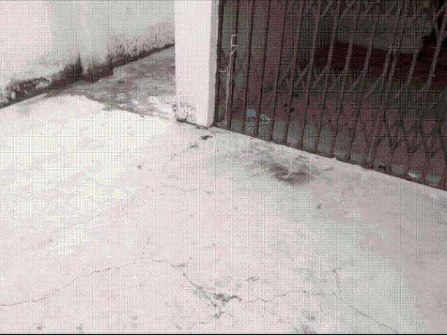 2 BHK Independent House in Vrindavan Yojana for rent Lucknow. The reference number is 20129789