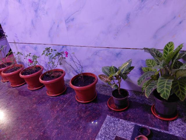 2 BHK Independent House in Annojiguda for rent Hyderabad. The reference number is 20977171