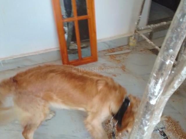 2 BHK Independent House in Arjunganj for rent Lucknow. The reference number is 19429476