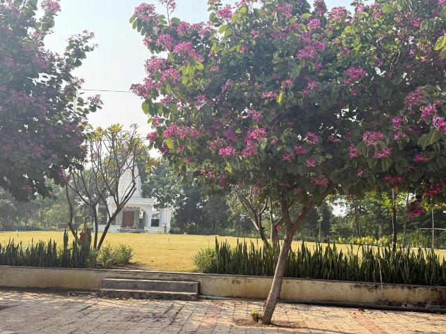 2 BHK Independent House in Bana for resale Raipur. The reference number is 21090099