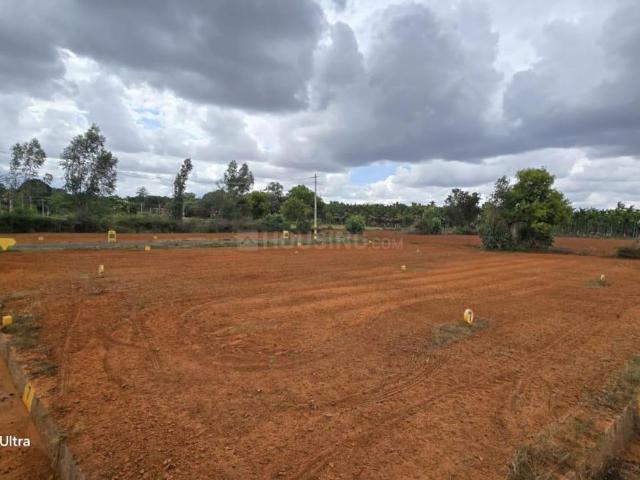 2 BHK Independent House in Bangalore City Municipal Corporation Layout for resale Bengaluru. The reference number is 20603089