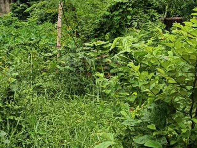 2 BHK Independent House in Birati for resale Kolkata. The reference number is 20645852