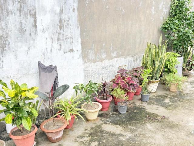 2 BHK Independent House in Daheli Sujanpur for rent Kanpur. The reference number is 21196678