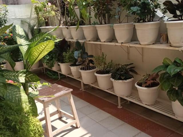 2 BHK Independent House in Gandhi Nagar for rent Nagpur. The reference number is 20842504