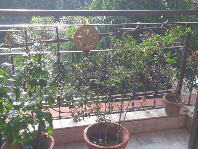 2 BHK Independent House in Ghukna for rent Ghaziabad. The reference number is 20857072