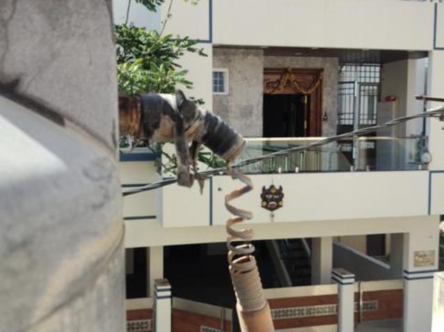 2 BHK Independent House in Hebbal for rent Bengaluru. The reference number is 20117590