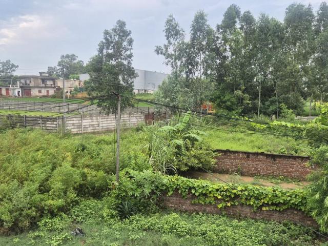 2 BHK Independent House in Jawaharpur for rent Dera Bassi. The reference number is 21050661