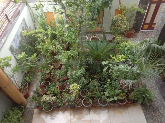 2 BHK Independent House in Jhusi for rent Allahabad. The reference number is 20417059