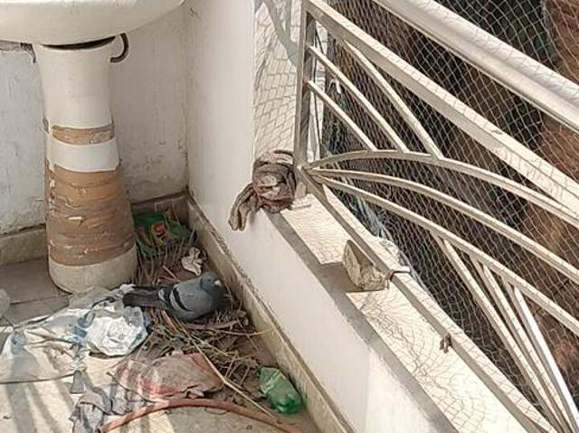 2 BHK Independent House in Laxmi Nagar for rent New Delhi. The reference number is 19575060