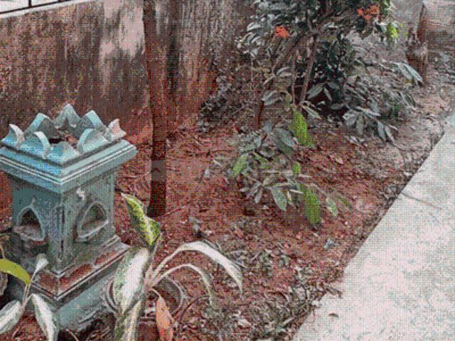 2 BHK Independent House in Maduravoyal for rent Chennai. The reference number is 21036212
