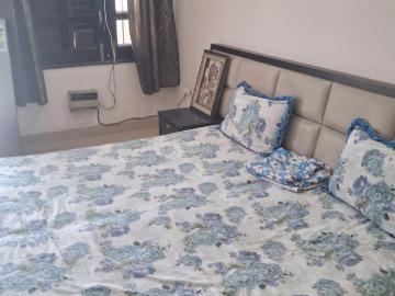 2 BHK Independent House in Model Town for rent Panipat. The reference number is 20405069