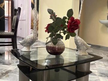 MVP Colony, Visakhapatnam, Visakhapatnam District, Orissa