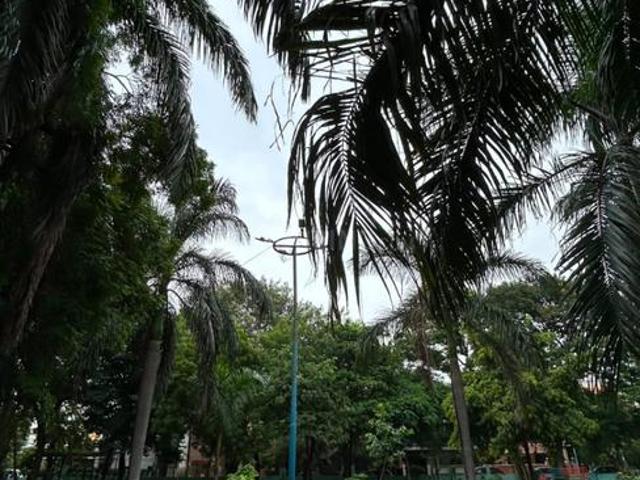 2 BHK Independent House in Nipania for resale Indore. The reference number is 20869854