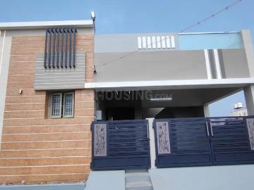 Raipur Village, XU III, Dabra Gautam Buddha Nagar, Gautam Buddha Nagar District, Delhi