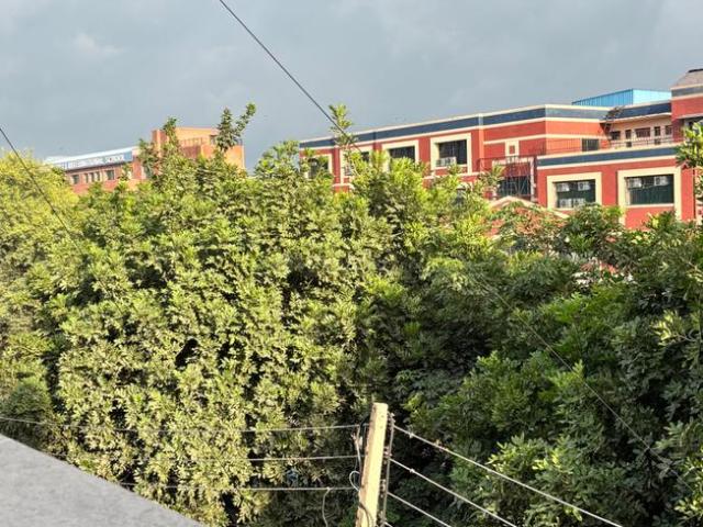 2 BHK Independent House in Sector 43 for rent Gurgaon. The reference number is 21205208
