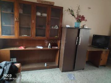 Sector-119 Noida, New Delhi, Delhi - Balcony