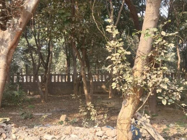 2 BHK Independent House in Sector Xu 2 for resale Greater Noida. The reference number is 19755534
