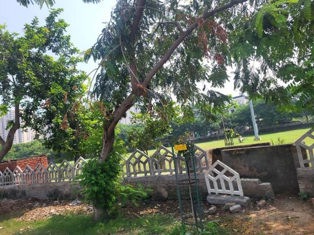 2 BHK Independent House in Sigma II for resale Greater Noida. The reference number is 19915608