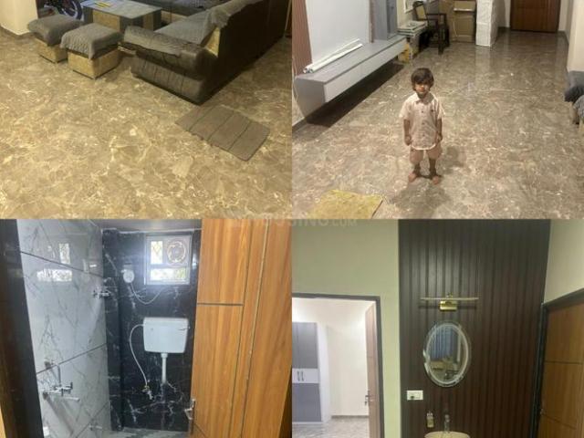 2 BHK Independent House in Sukher for rent Udaipur. The reference number is 20734706
