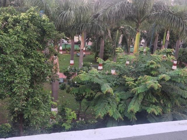 2 BHK Independent House in Sukhliya for rent Indore. The reference number is 20834038
